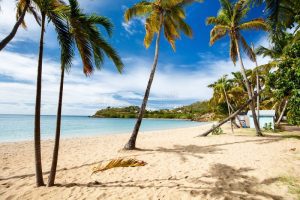 idyllic-beach-caribbean-tropical-caneel-bay-white-sand-turquoise-ocean-water-blue-sky-antigua-island-66265659-1916814376.jpg